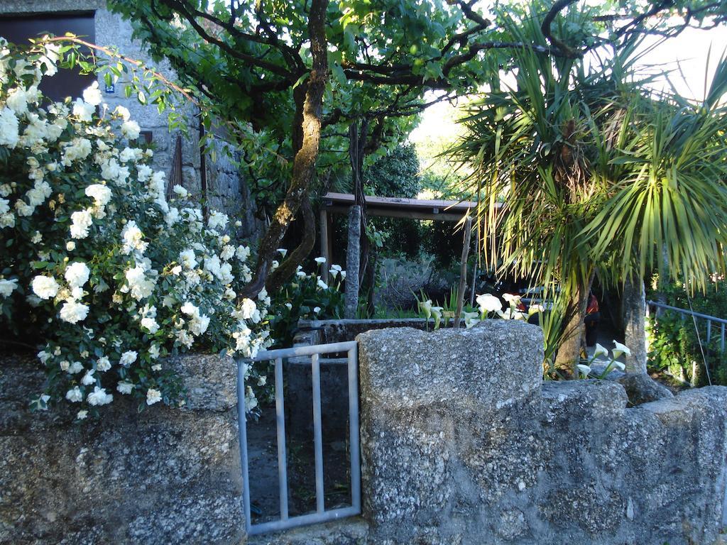 Casa Do Faroca Villa Vieira do Minho Exteriör bild